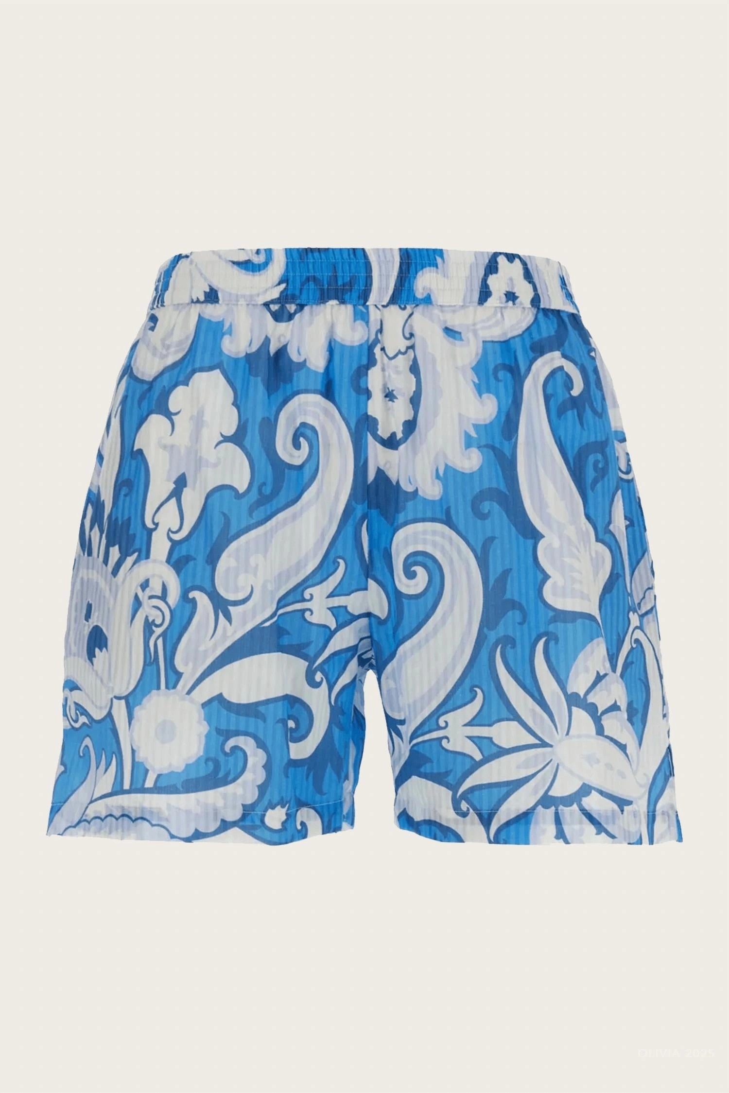 Yarn Dyed Pattern Adaptive Tension Control Women's Paisley-Printed Shorts In Sky Blue