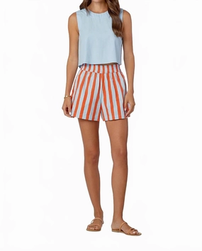 Pool Shorts In Americana Gusseted Crotch Design