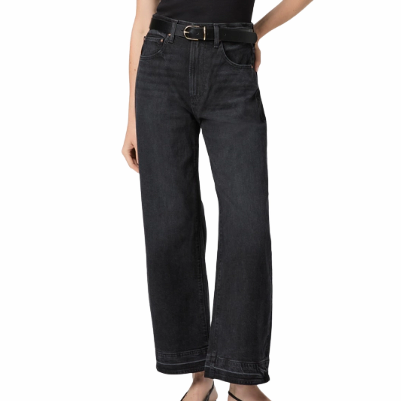 Modern Minimalist Stretch Arellia Ankle Black Void